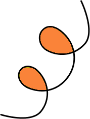 1shape2