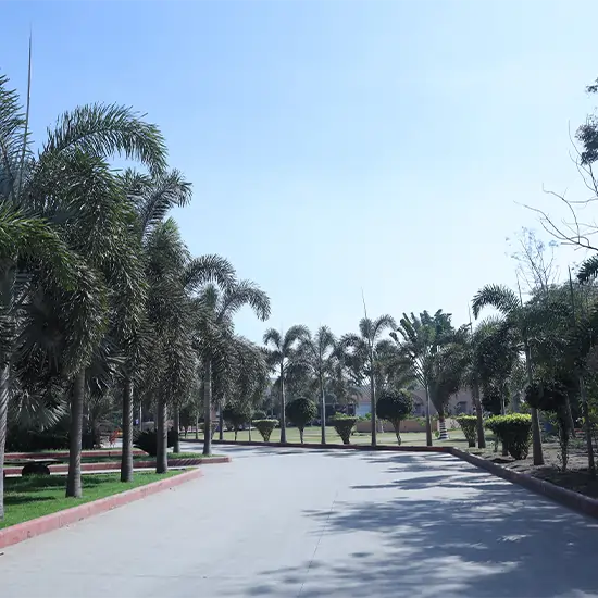Environment4