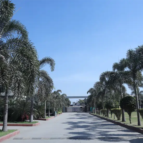 Environment5