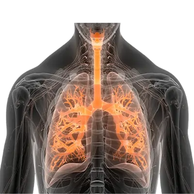 Pirfenidone