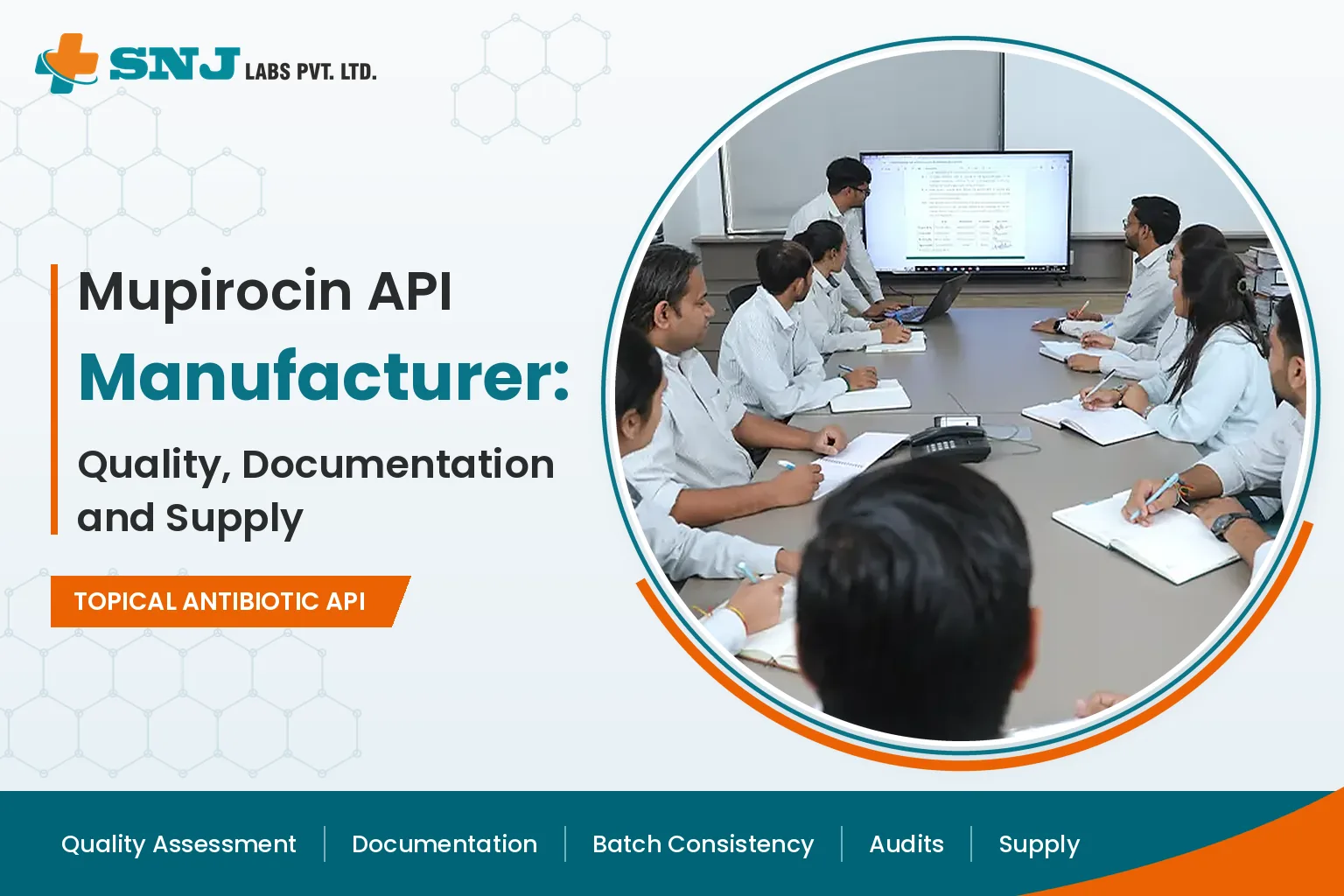 Mupirocin API Manufacturer: Quality, Documentation and Supply