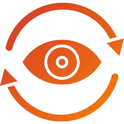 Vision